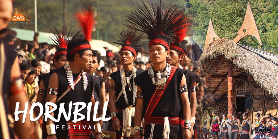 Happy Hornbill Festival